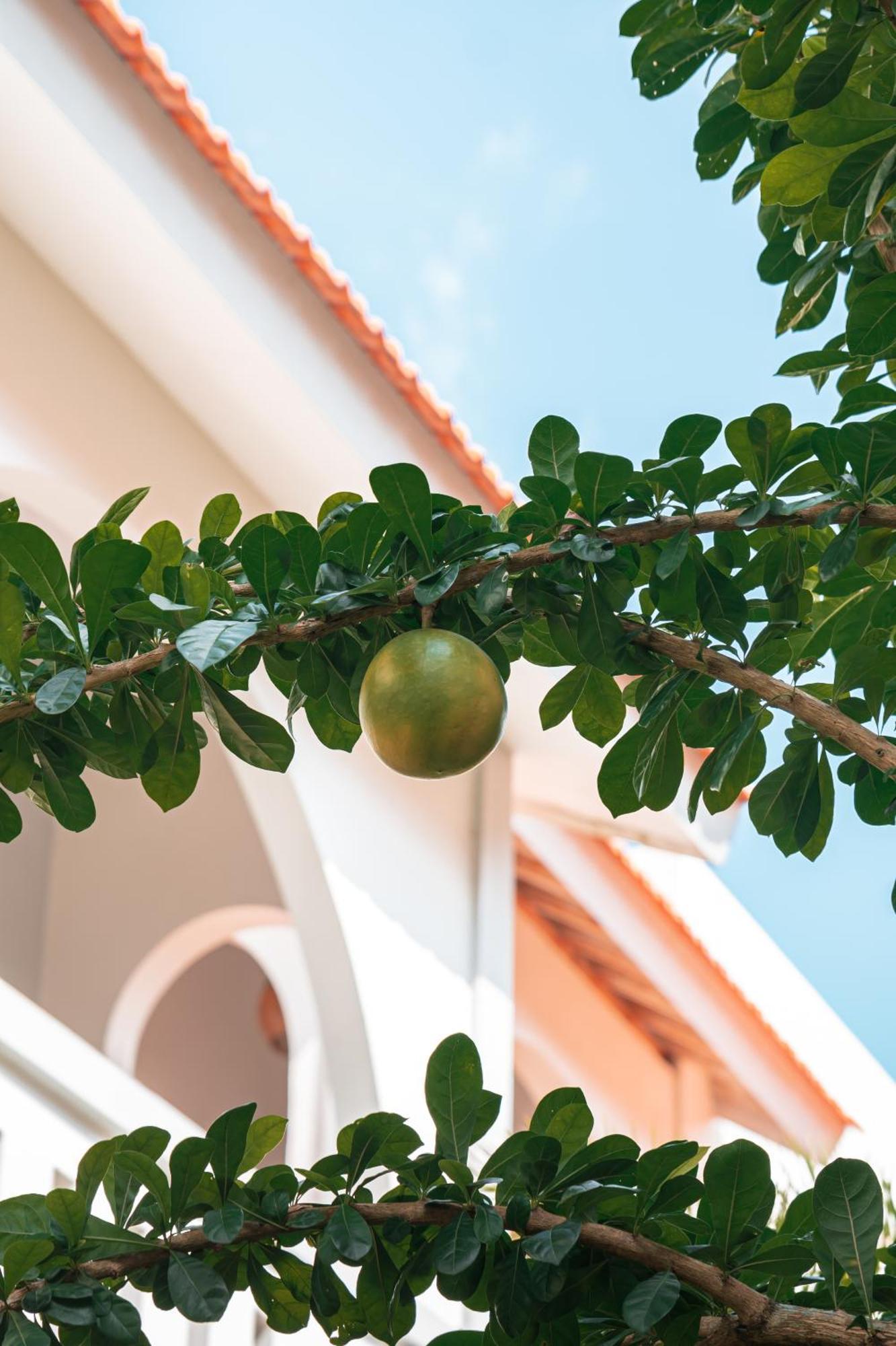 Mahalona Bali Aparthotel Canggu (Bali)